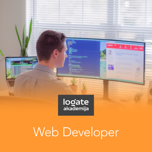 Web Developer