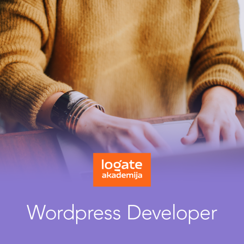 WordPress 2025